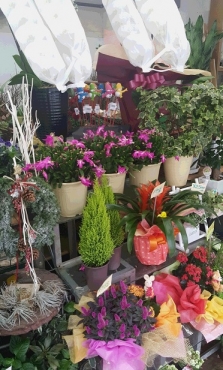 「羽浦生花」　（徳島県阿南市）の花屋店舗写真3